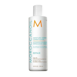 Moroccanoil Moisture Repair Conditioner