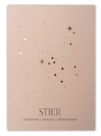 Sterrenbeeld poster - Stier - Oud roze