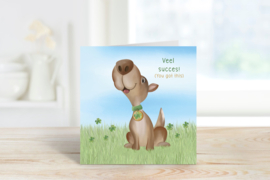 Veel succes (You got this)