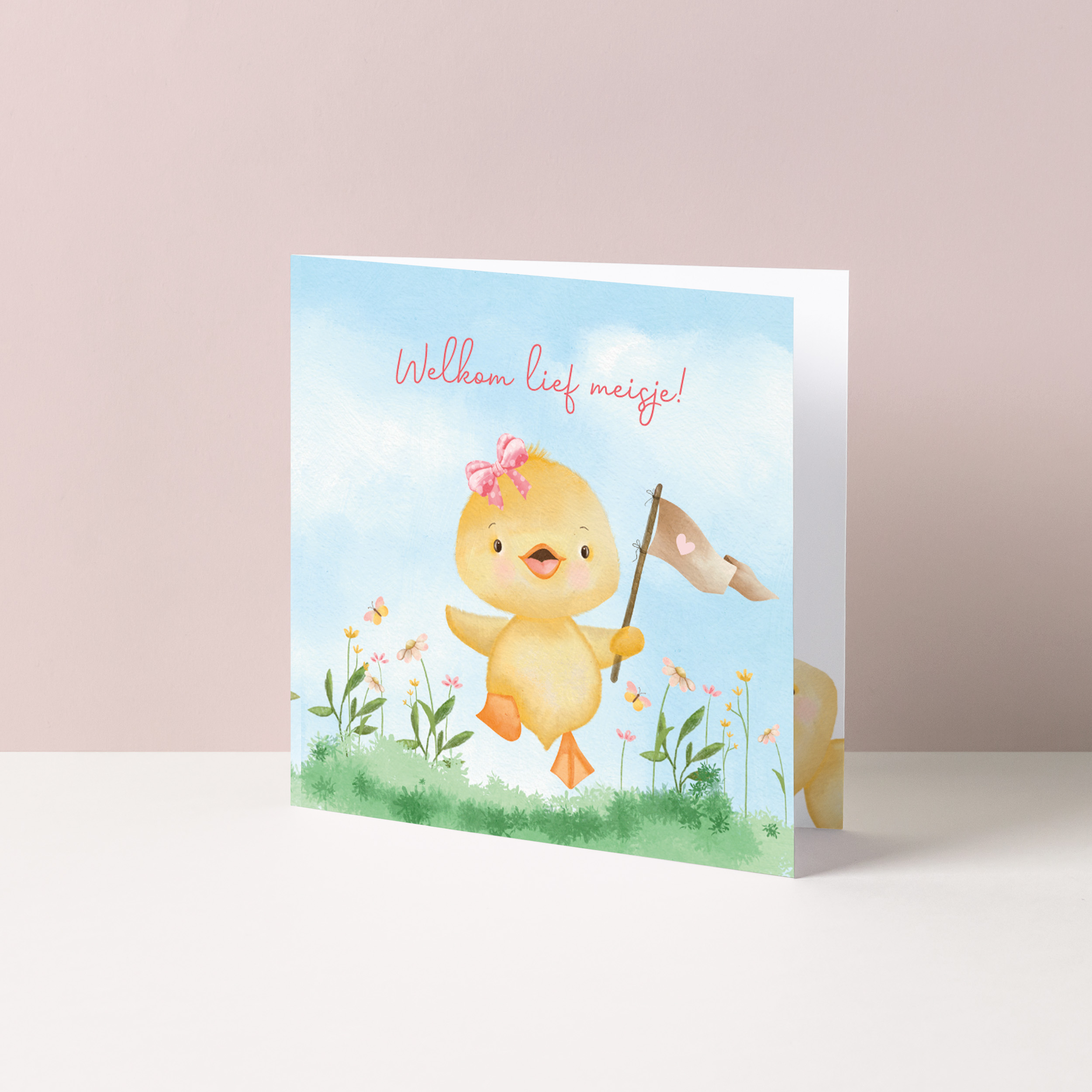 Welkom lief meisje (eendje)