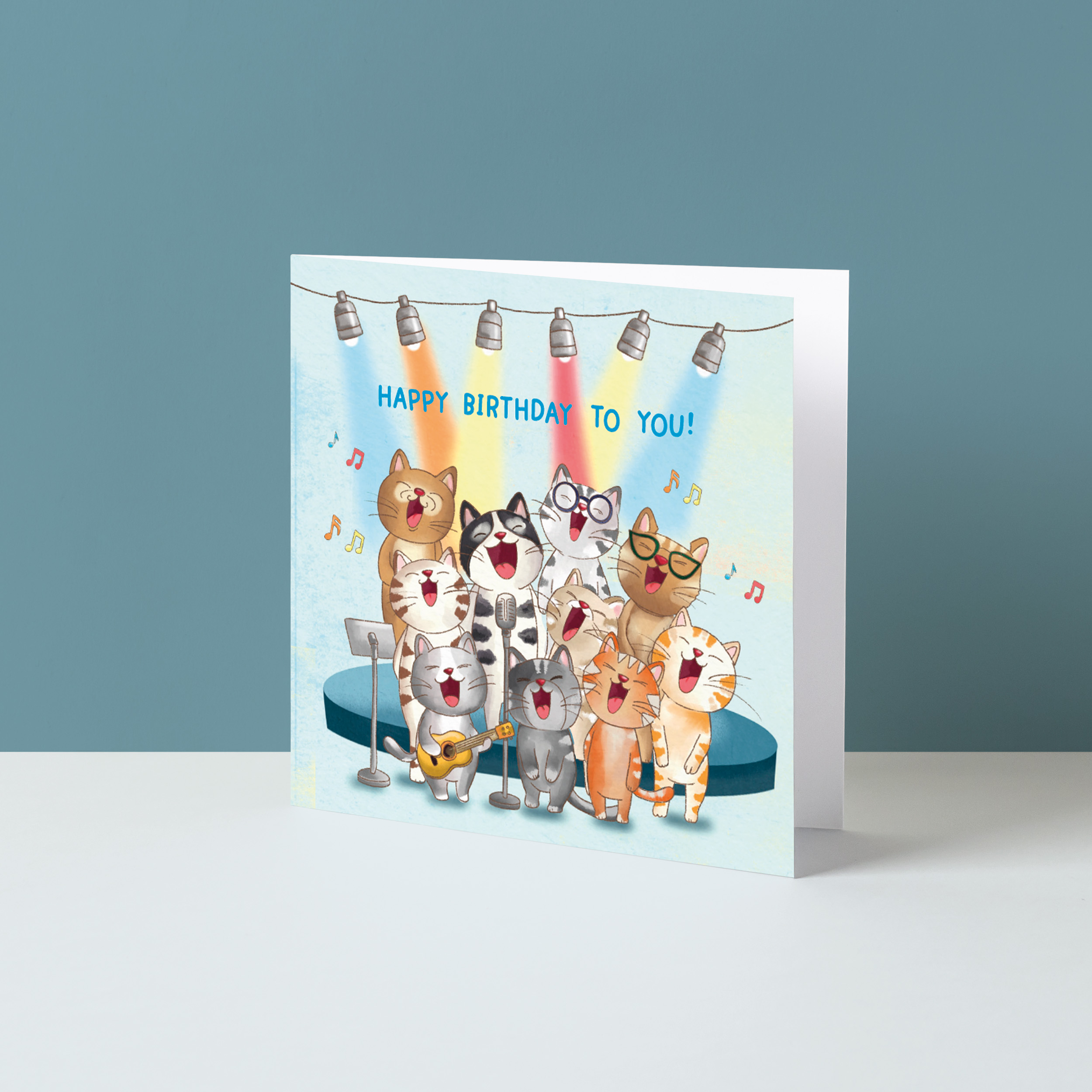 Happy Birthday to you (katten)