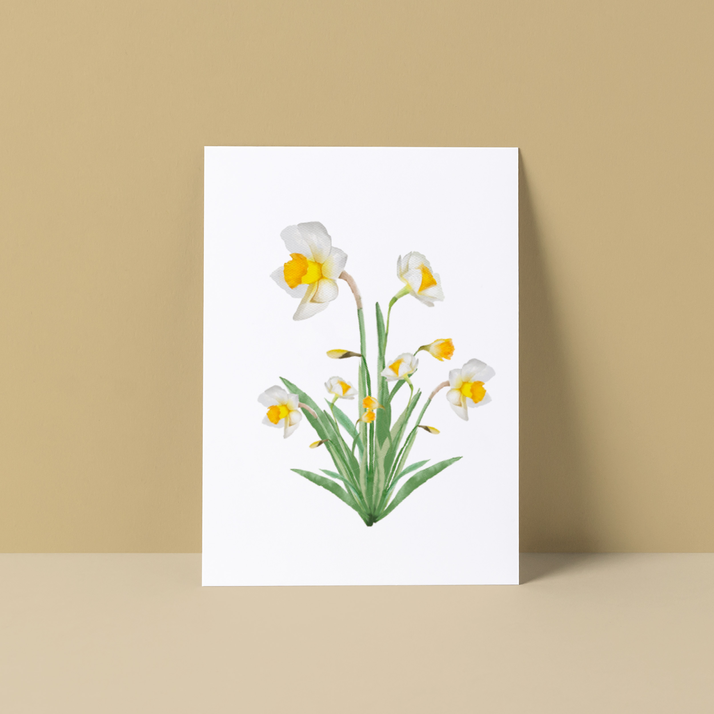 Ansichtkaart "Narcissen"