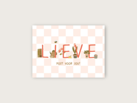 Ansichtkaart "Lieve post voor jou"
