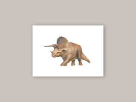 Ansichtkaart "Triceratops"