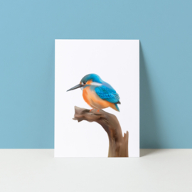 Ansichtkaart "Ijsvogel"