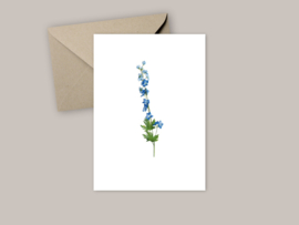 Ansichtkaart "Delphinium"