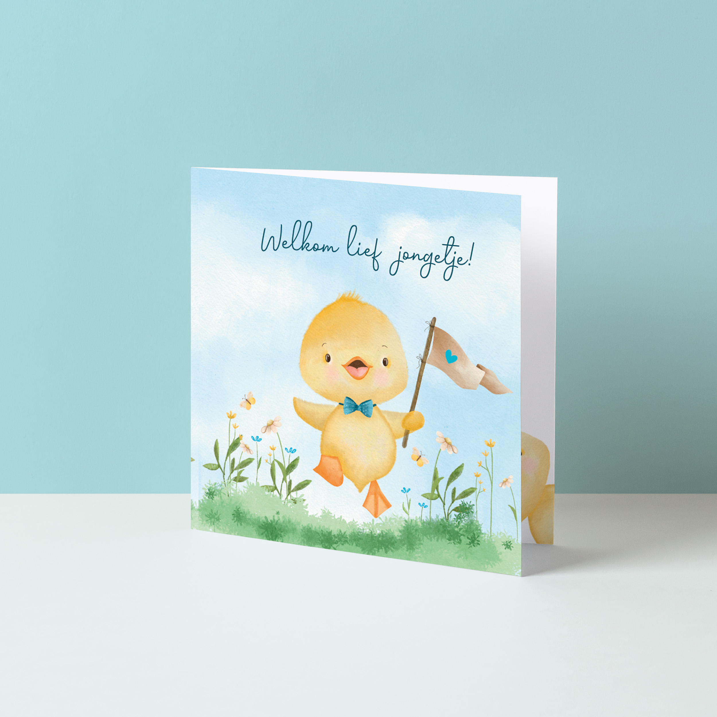 Welkom lief jongetje (eendje)