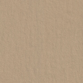 Jana WR Stretch Energy Piqué, beige