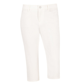 Mona-C Fx4 DRY COOLER, wit