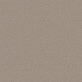 Jana WR Super Jersey, beige