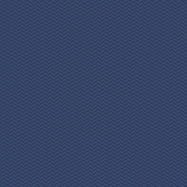 Rookie Revolutional Print, blauw