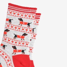 Teckel sokken met KERST