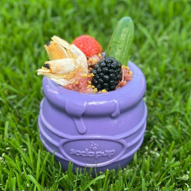 Sodapup PUP-X Honey Pot Large – blauw