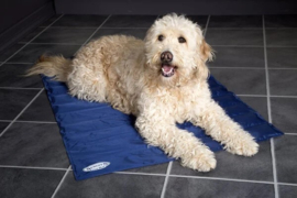 Scruffs cool mat M 77 x 62 cm