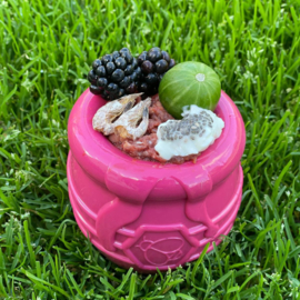 Sodapup PUP-X Honey Pot Large – rood KERST