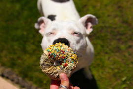 Candy Crush Pack - Gedroogd vlees en vis met dogfetti