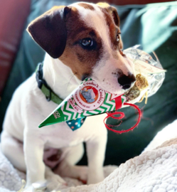 Cooka´s Cookies Kerstballen - Rundvlees - Natuurlijke hondensnoepjes