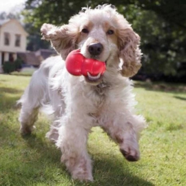 Kong Classic Rood M