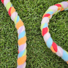 Set snuffelmat + trektouw en ring - regenboog