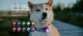 Orbiloc Dog Dual veiligheidslampje
