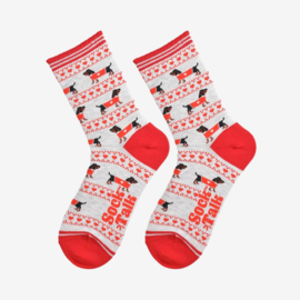 Teckel sokken met KERST