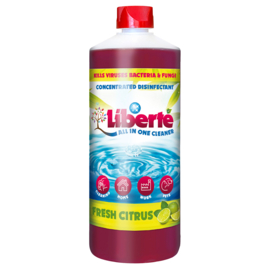 All in One Cleaner Fresh Citrus 1 liter
