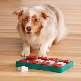 Nina Ottosson - Dog Brick - Hondenpuzzel - Level 2