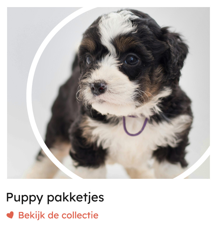 Puppypakket, puppypakketjes, puppy pakketten, puppybox, puppy benodigdheden | Rosso Dogstore