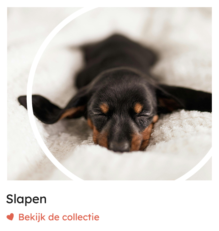 Slapen, hondenmanden, hondenslaapzakken | Rosso Dogstore