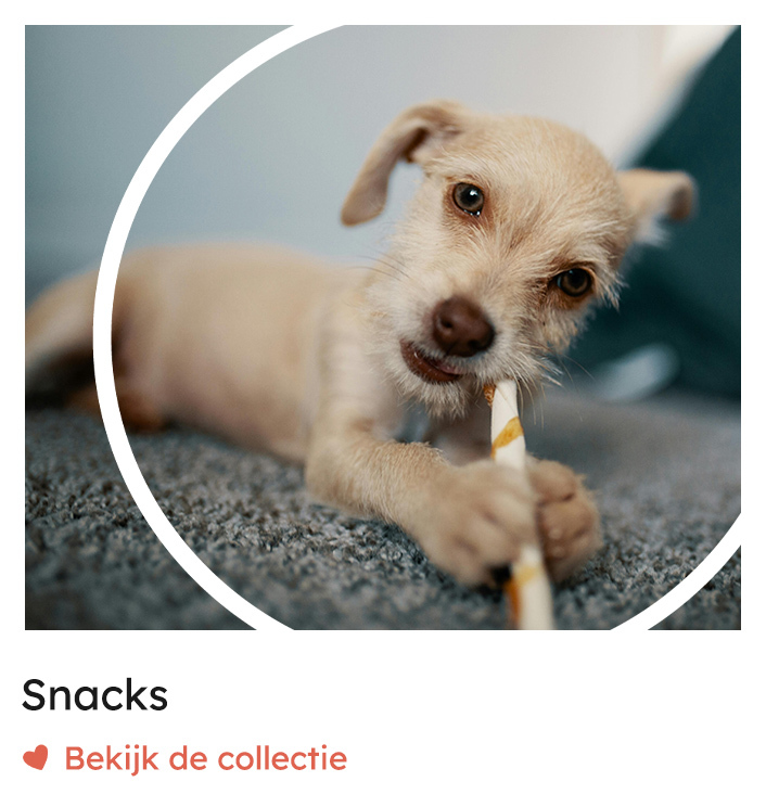 Snacks, webshop hondensnacks | Rosso Dogstore