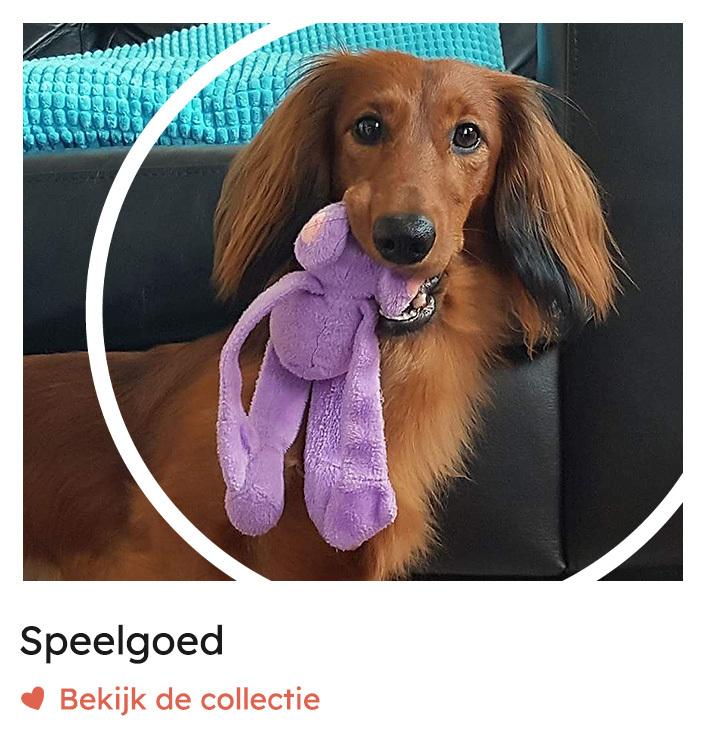 Hondenspeelgoed, speelgoed voor honden | Rosso Dogstore