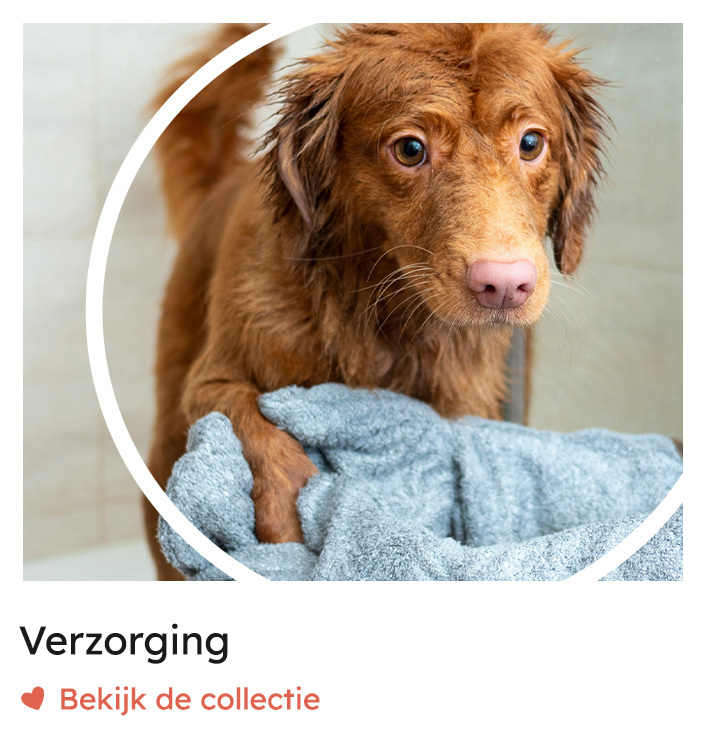 Verzorging, hondenverzorging | Rosso Dogstore