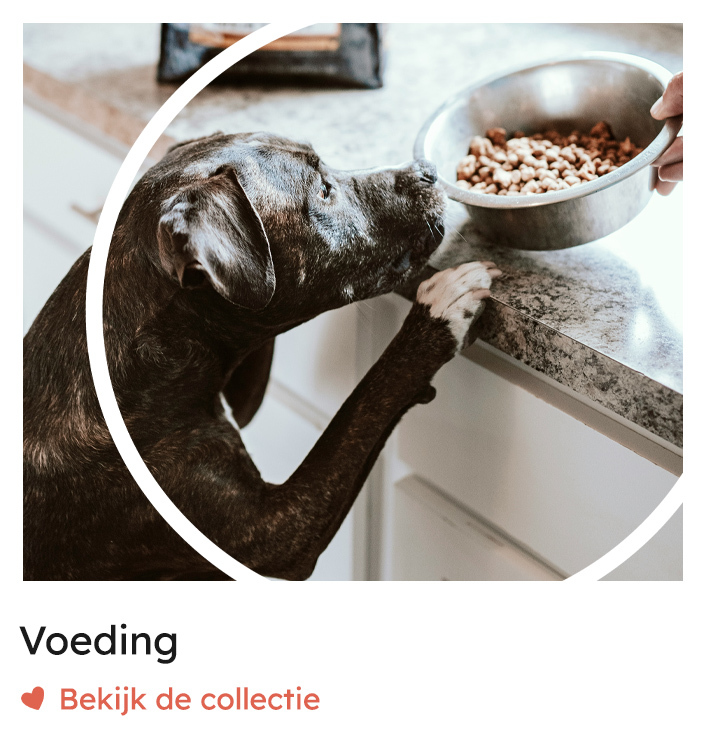 Hondenvoer, hondenvoeding, voeding hond, gezond hondenvoer | Rosso Dogstore