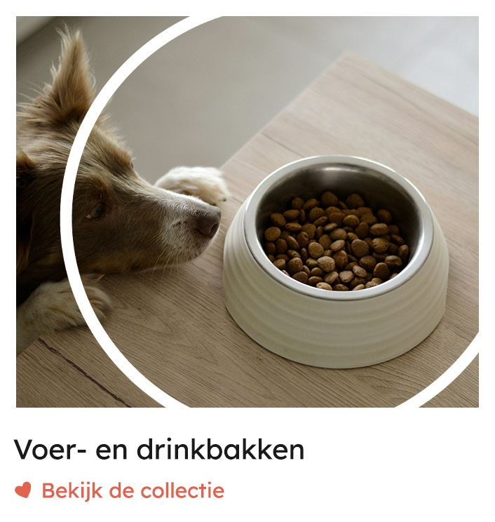 Voerbakken, drinkbakken | Rosso Dogstore
