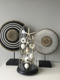 Antique dome with starfish, seaurchin, sanddollars, white butterlfies