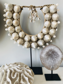 Shell necklace with troca trochus pearlized shells