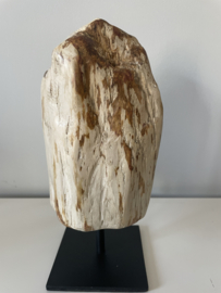 Petrified wood on stand