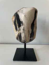 Petrified wood on stand