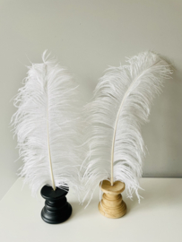 Ostrich feathers black white on stand