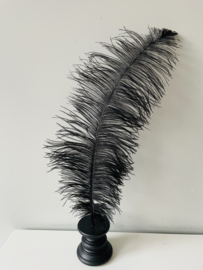 Ostrich feathers black white on stand