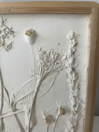 Botanical plaster art flowers 3D one of a kind