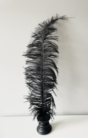 Ostrich feathers black white on stand