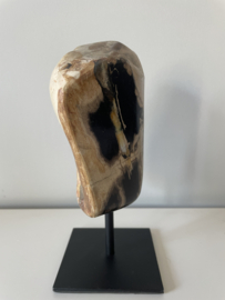 Petrified wood on stand