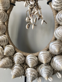 Shell necklace with troca trochus pearlized shells