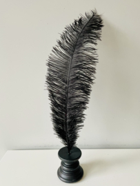 Ostrich feathers black white on stand