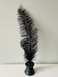 Ostrich feathers black white on stand