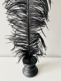Ostrich feathers black white on stand