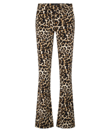 LADY DAY POPPY BROEK LEOPARD PRINT TRV
