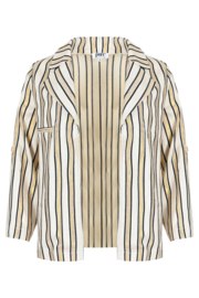 ZIZO NOOSKE JACKET GOLD STRIPE