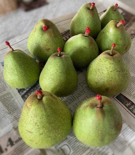 Fruit langer houdbaar met zegellak.